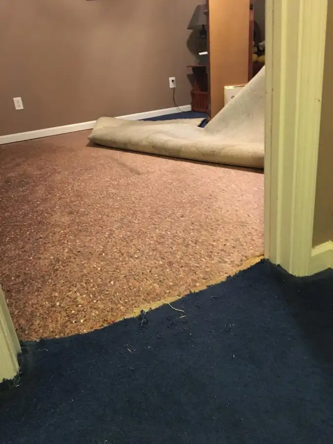 Carpet pad removal revealing water damage during Water Mitigation Services in Eustis