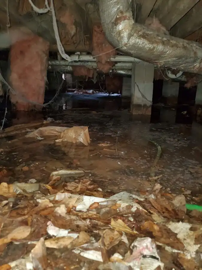 Crawl space flood assessment for Leak Detection & Repair in Eustis