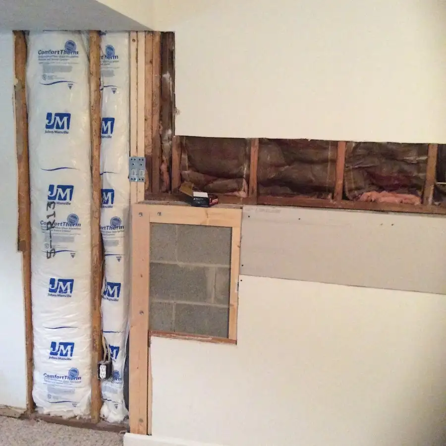 Wall insulation replacement during Basement Flood Cleanup in Eustis